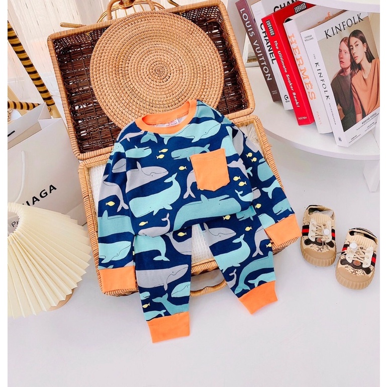 Bộ tay dài xuất dư nằm điều hoà cho bé trai bé gái