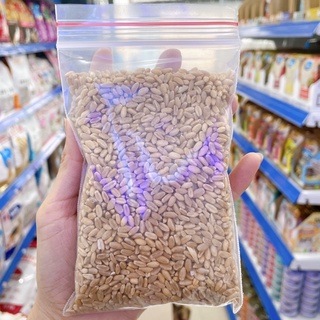 Hạt giống cỏ lúa mì cho mèo túi 200g