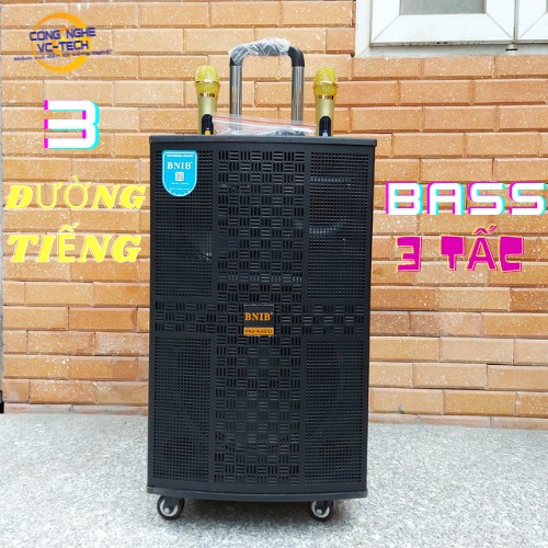 LOA KÉO CAO CẤP VỎ GỖ BNIB ,Model 1209, Bass 30cm,kèm 2 tay mic XỊN SÒ-Model mới nhất 2021-CHÍNH HÃNG BẢO HÀNH 12 THÁNG