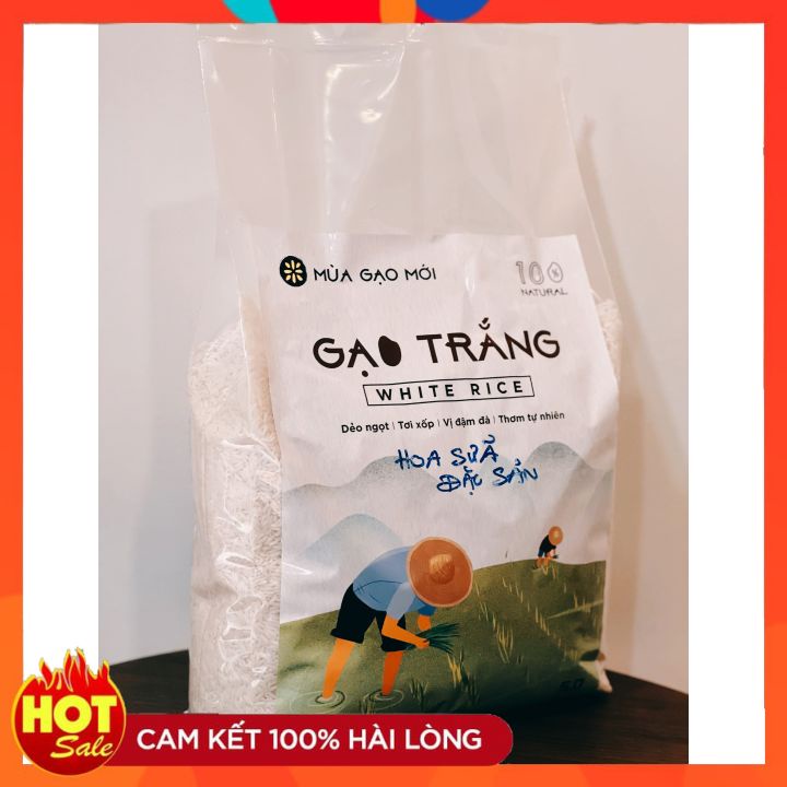 Gạo Hoa Sữa - Gạo Hoa Sữa Có Màu Trắng Trong, Dài Hạt, Cơm Dẻo, Mềm, Ngọt Cơm Túi 5Kg