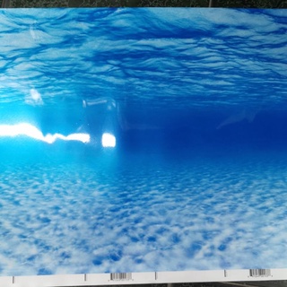 Tranh dán hồ cá cao 40cm
