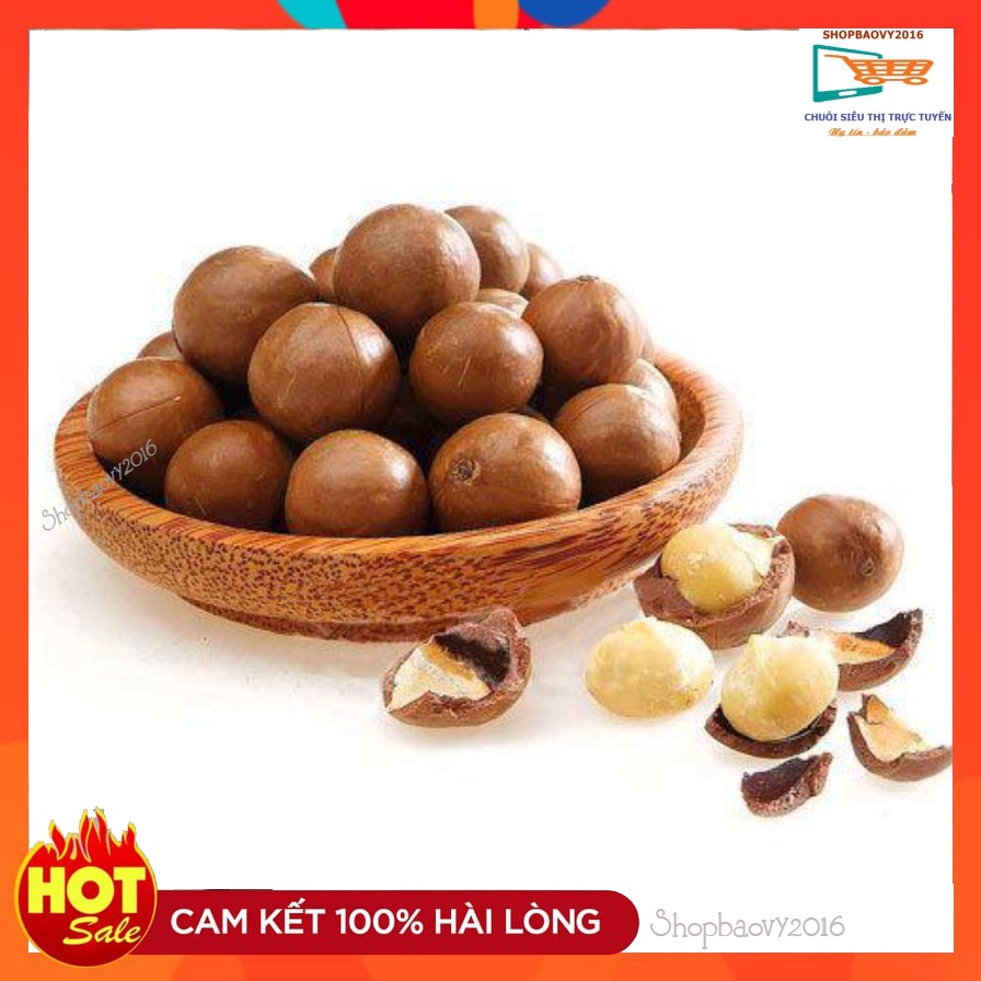 [HÀNG VIP] 500G Hạt Mắc ca Đắk Lắk - Macca ❋SIZE TO❋ Qủa Mac ca