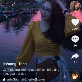 Áo tay bồng nhún ngực QCCC
