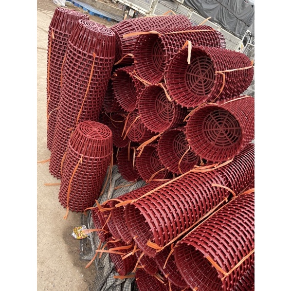 Chậu lan que nhựa