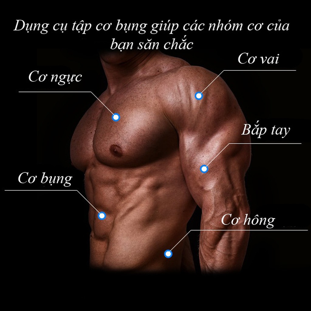 Con Lăn 4 Bánh Tập Cơ Bụng 6 Múi, Thể Hình, Gym - Chính Hãng miDoctor