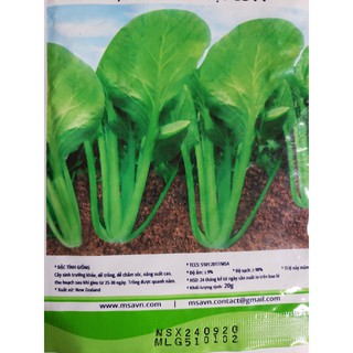 Hạt giống cải ngọt cọng xanh