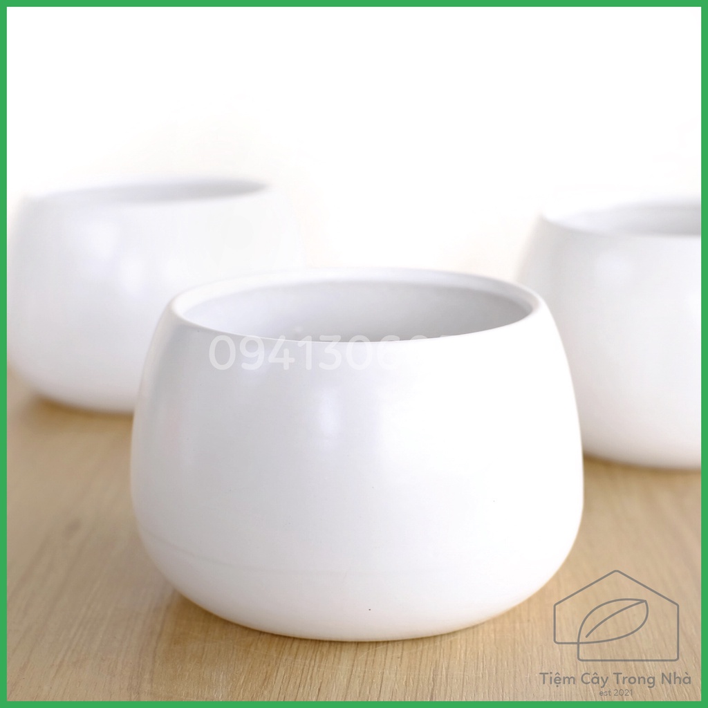 Chậu Sứ Mini Trồng Cây Tiểu Cảnh, Nội Thất, Sen Đá, Xương Rồng, Cây Mini Cao Cấp