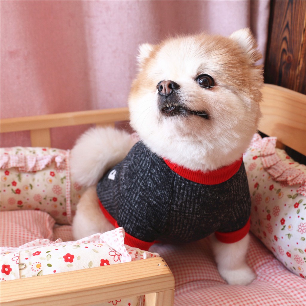 Áo đông cho chó mèo bằng nỉ len in chữ I love mommy và I love Daddy