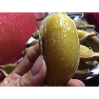 1kg chuối sáp nghệ bến tre