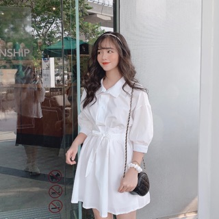 Váy sơmi kèm belt nơ