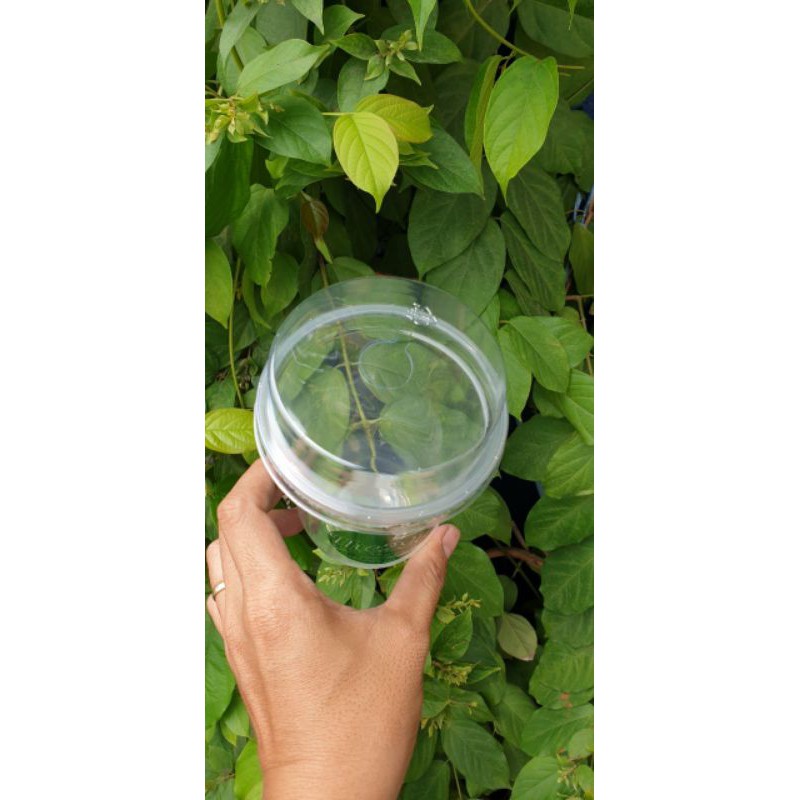 Combo 500 nắp cầu vuông 95mm, 500 nắp cầu dùng cho ly nhựa pp phi 95mm