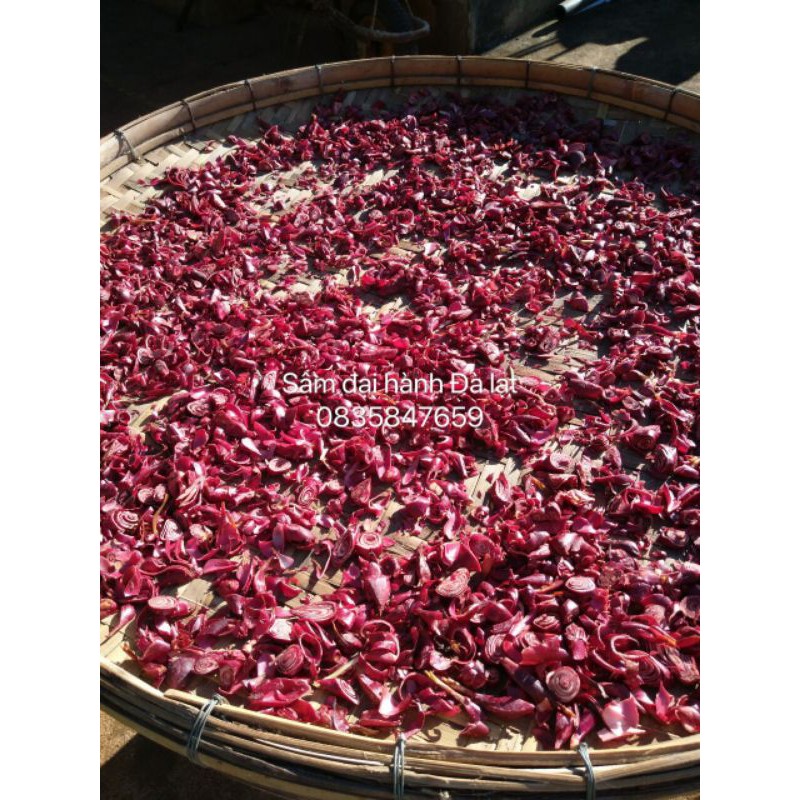 Sâm đại hành Đà lạt