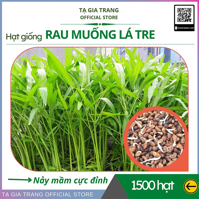 [Top Bán Chạy] - Hạt giống rau muống lá tre - Shop hạt giống Tạ Gia Trang