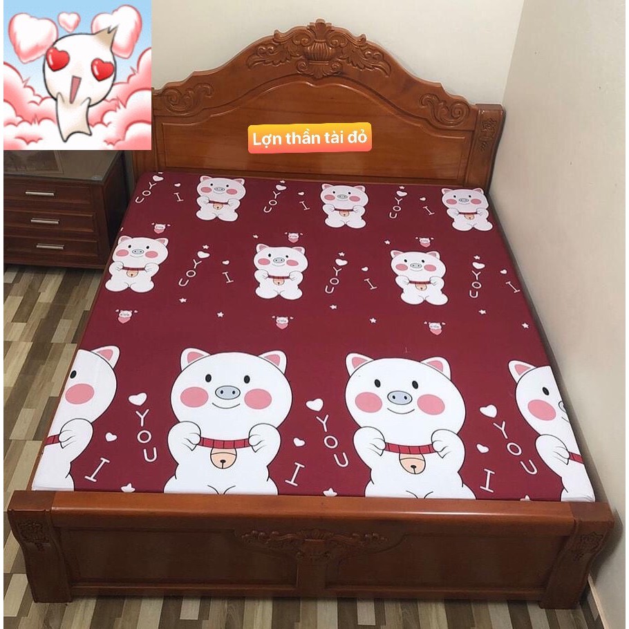 Ga chống thấm cotton siêu rẻ siêu đẹp