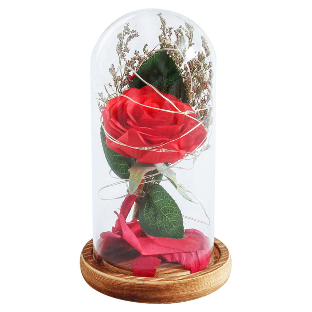 WR Birthday Gift Beauty and The Beast Red Rose W/ Fallen Petals In A Glass Dome on A Wooden Base for Christmas Valentine's Gifts HBEJ