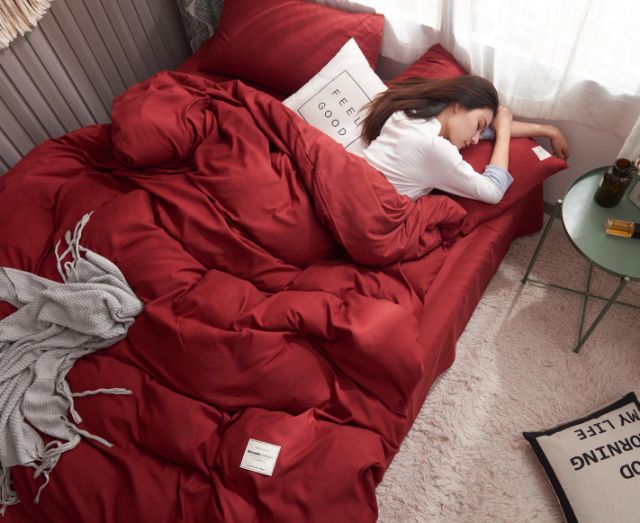 ( Giá hủy diệt) Bộ chăn ga cotton đũi cao cấp ( cotton Tici ) | BigBuy360 - bigbuy360.vn