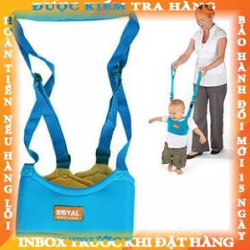 Dây đai tập đi an toàn Royal cao cấp cho bé từ 6 tháng đến 2 tuổi cauly