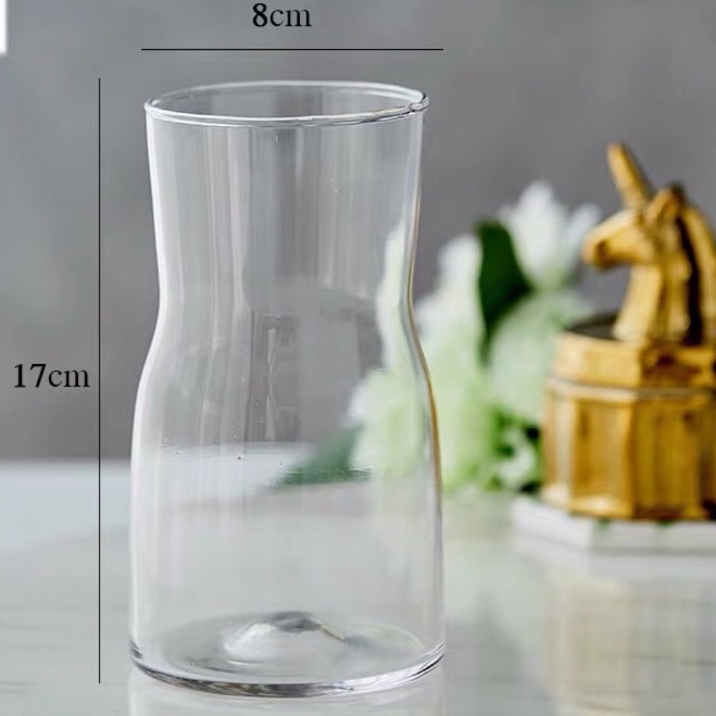 Bình Hoa Thủy Tinh Trong - Để Bàn - Cắm Hoa