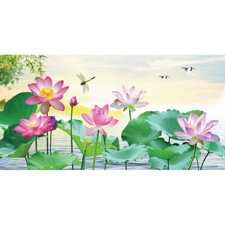 Tranh dán tường 3D Hoa Sen UD0001