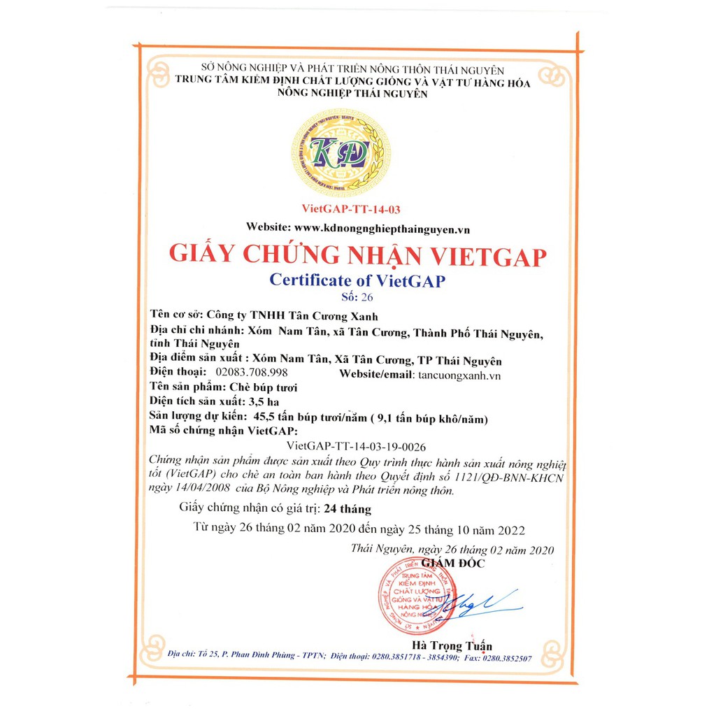 Trà Sen Tây Hồ 300gr / 400gr - Hộp Gỗ Thông TÂN CƯƠNG XANH