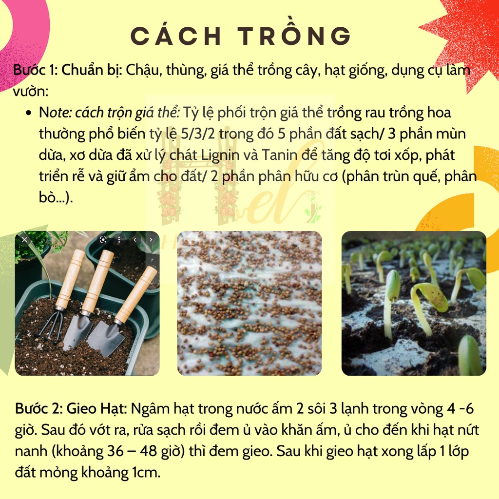 Hạt Giống Bầu Lai King Sai Trái, Dễ Trồng - Trồng Hạt Giống Rau Củ Quả Bằng Đất Sạch, Xơ Dừa, Mùn Dừa, Phân Bón Hữu Cơ