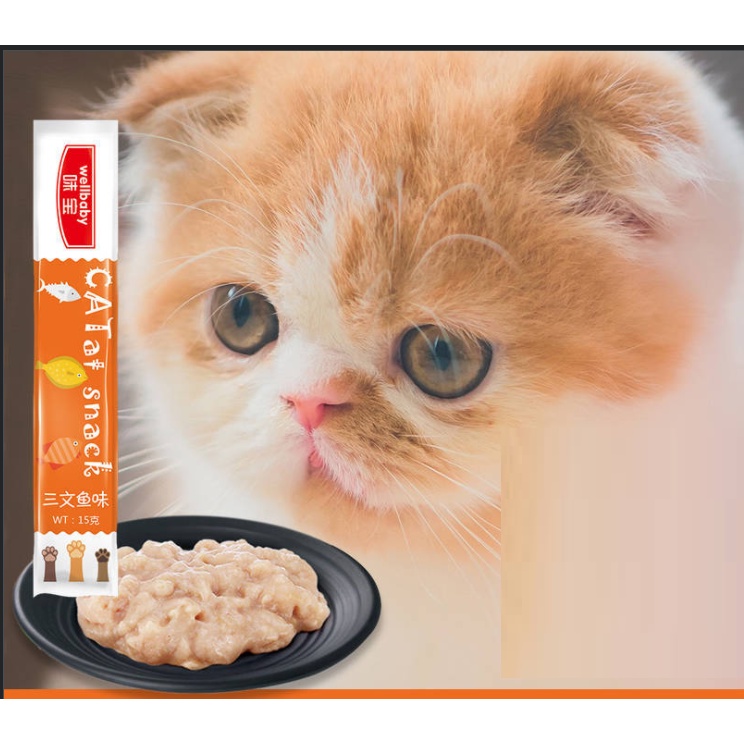 [HCM] Súp thưởng cho mèo Wellbaby dạng thanh 15gr - Đồ ăn vặt cho mèo (nhiều vị)