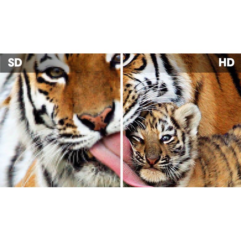 [Siêu rẻ]SẢN PHẨM MỚI TIVI HIỆU JINGZHAN 32 INCH HÌNH ẢNH SẮC NÉT HÀNG CHÍNH HÃNG BẢO HÀNH 1 NĂM | BigBuy360 - bigbuy360.vn