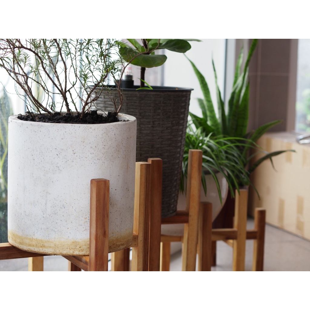 Đôn gỗ tràm chuẩn xuất khẩu để chậu cây cảnh tiện lợi