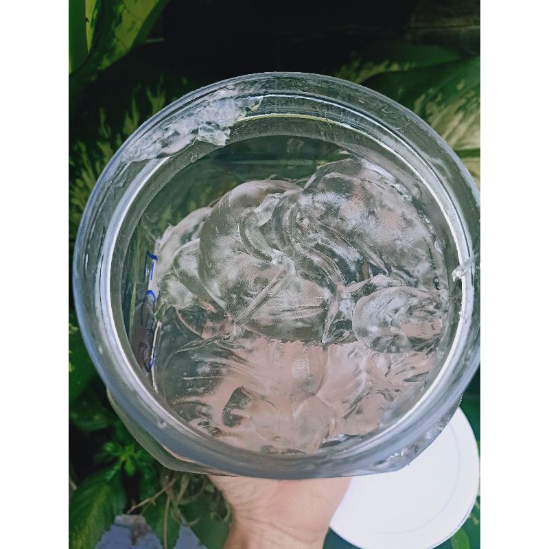 Hoạt chất chống trôi kem