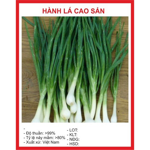 Hạt giống hành lá cao sản F1 - 1 gói 2 gram