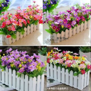 Chậu hàng rào size nhỏ, nhựa dày đẹp