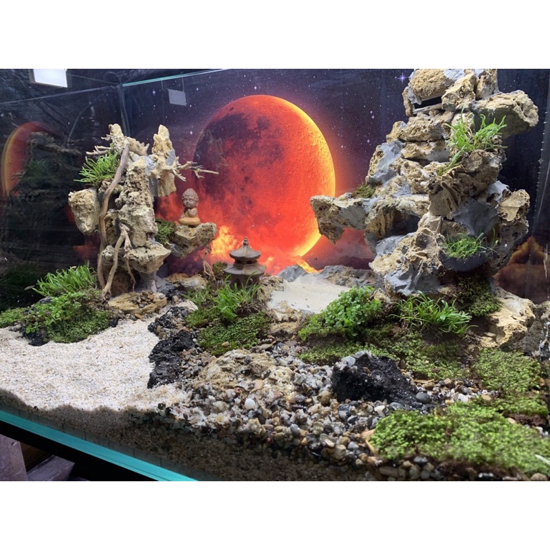 Tranh 3D hồ cá thuỷ sinh bán cạn - Chủ đề Ánh Trăng part 2