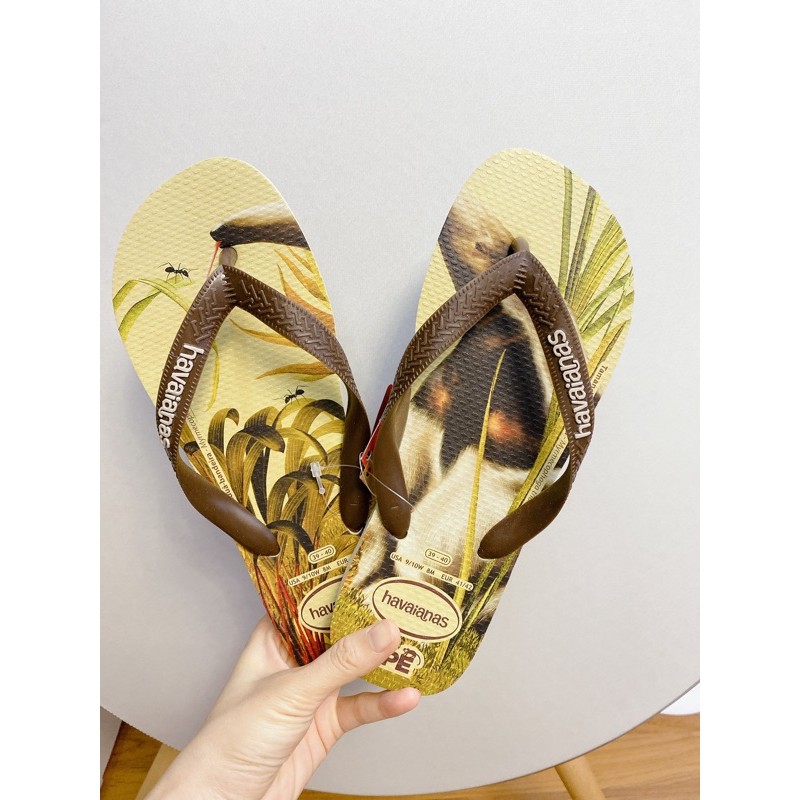 Tông Havaianas