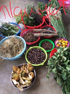 Combo 5 dầu gội bồ kết, thảo mộc