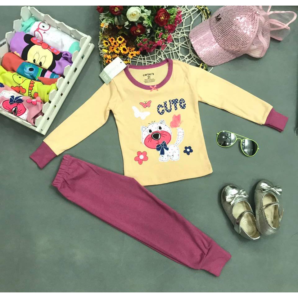 Bộ dài tay cho bé gái thun borip hàng Carter