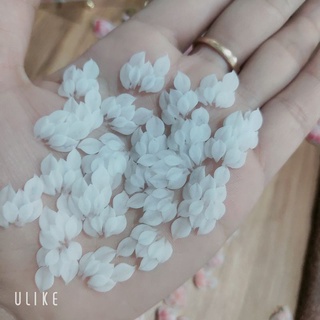 hoa bột nail hoa ẩn chân