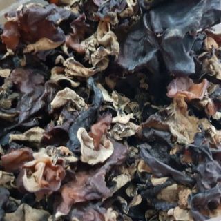 Sỉ toàn quốc mộc nhĩ rừng 500g - 1kg