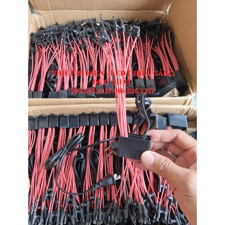 Bộ tạo ion âm 10 râu 100 triệu ion, công suất cao khử khói khử mùi