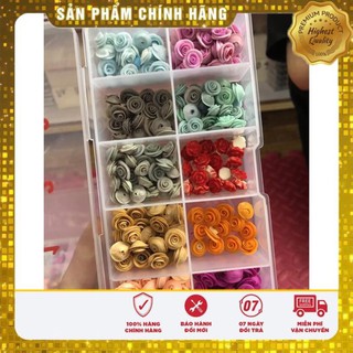 Hoa hồng fantasi thanh lí