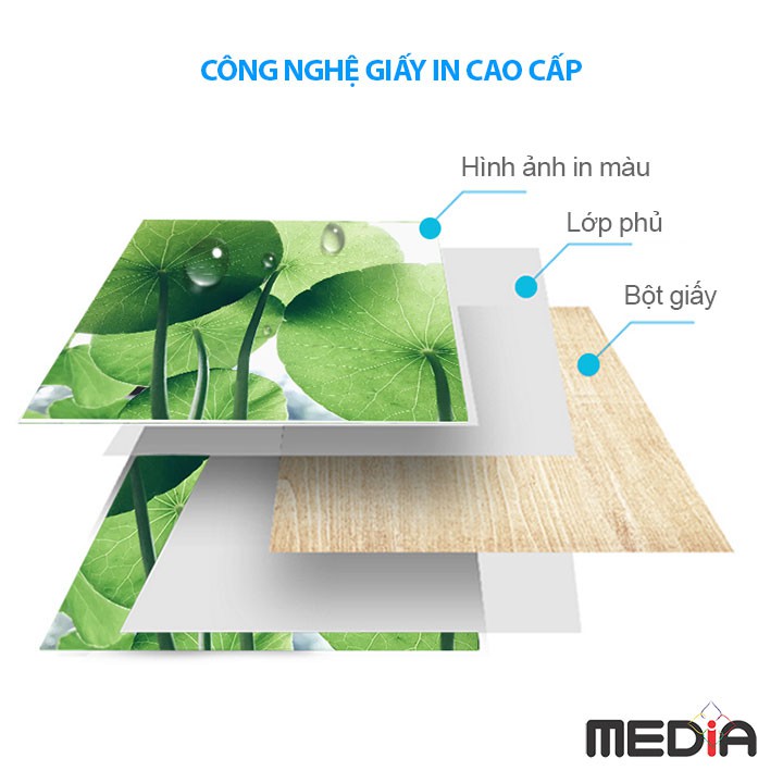 Giấy In Màu Media 2 Mặt Lụa (Semi Glossy) A4 (21 x 29.7cm) 230gsm 50 Tờ