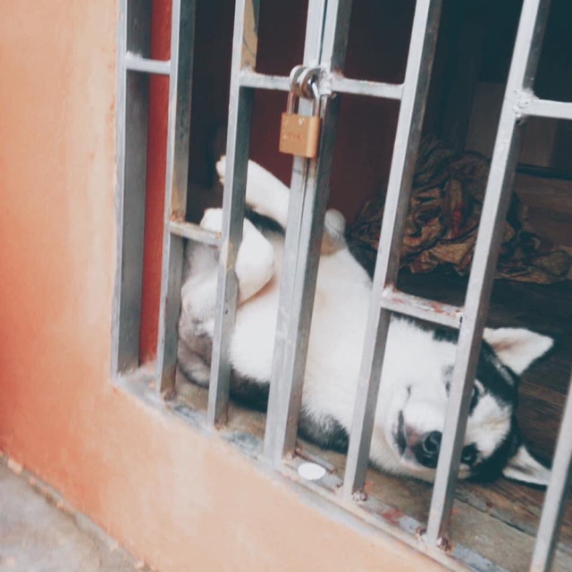 Trang Lê (Vacalo Store)