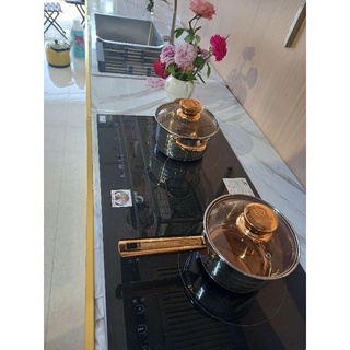 Bếp từ cao cấp