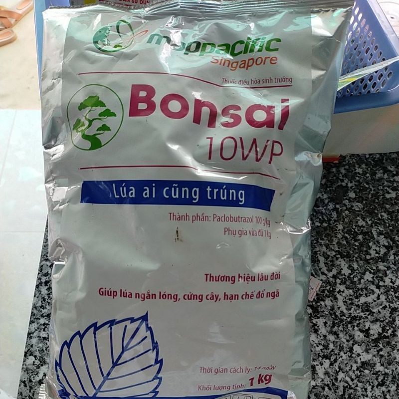 BONSAI GIÚP CỨNG CÂY NGẮN LÓNG CHÓNG ĐỔ NGÃ ( GÓI 1KG)