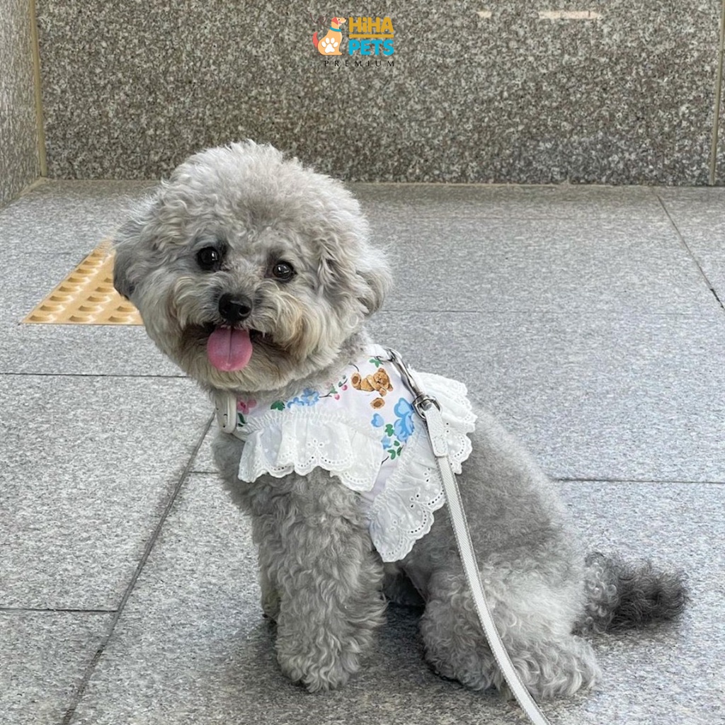 Dây Dắt Chó Mèo Đi Dạo Có Kèm Yếm Dây Dắt Thú Cưng Hàn Quốc Premium Hiha Pets.