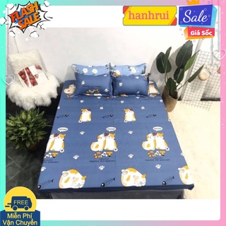 Drap ga trải giường bo chun xung quanh kích thước 1m2,1m4,1m6[mẫu mèo xanh đôi]