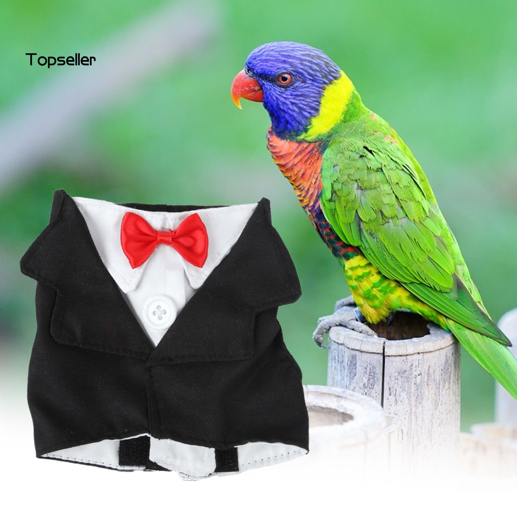 Áo Khoác Lông Vũ / Nơ Cổ Mini Dễ Thương Cho Chim Vẹt Chơi