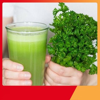 Hạt Giống Mùi Cồn Tía