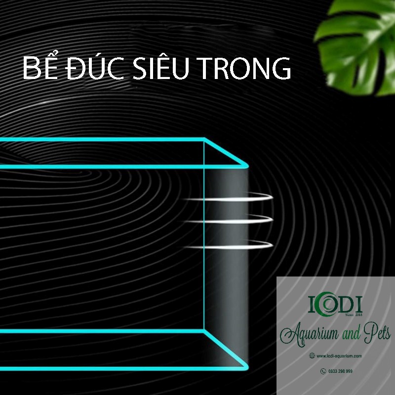 Bể Cá Cảnh Chữ Nhật Kính Siêu Trong Đúc