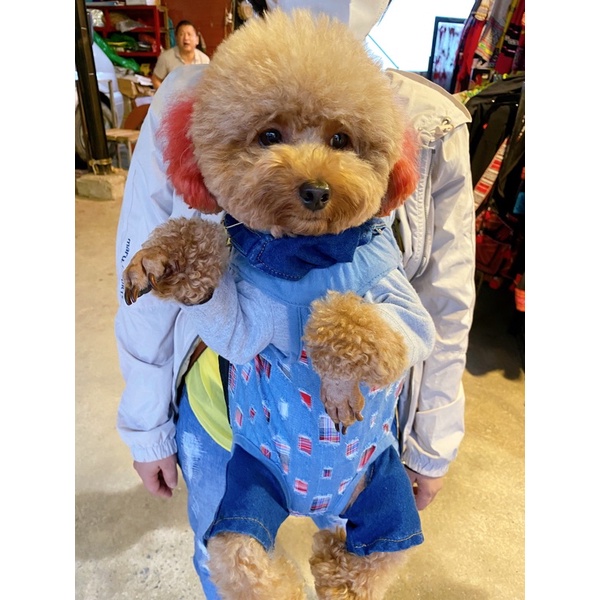 [Có sẵn] Địu cho thú cưng