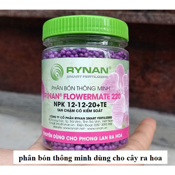 Phân bón thông minh Rynan có kiểm soát cung cấp dinh dưỡng cho lan 120 ngày